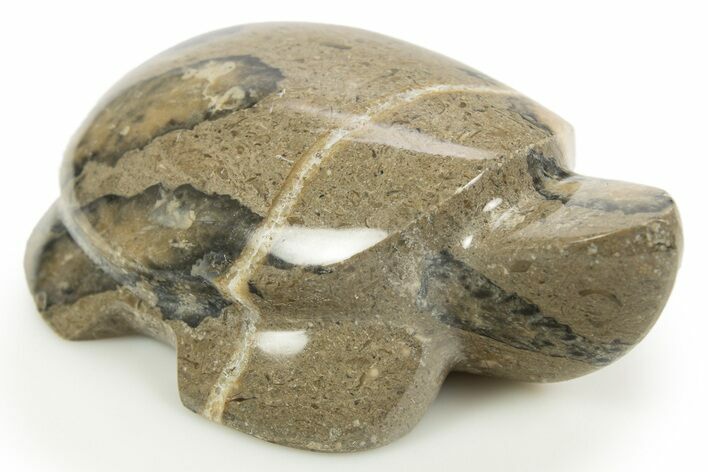 Carved Fossil Staghorn Coral Turtle - Philippines #308607